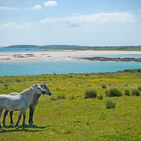 485 - * Claddaghduff